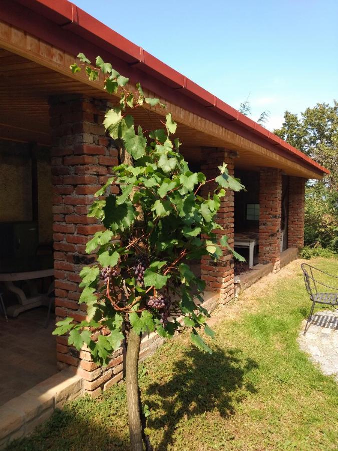 Omsi House 호텔 텔라비 외부 사진